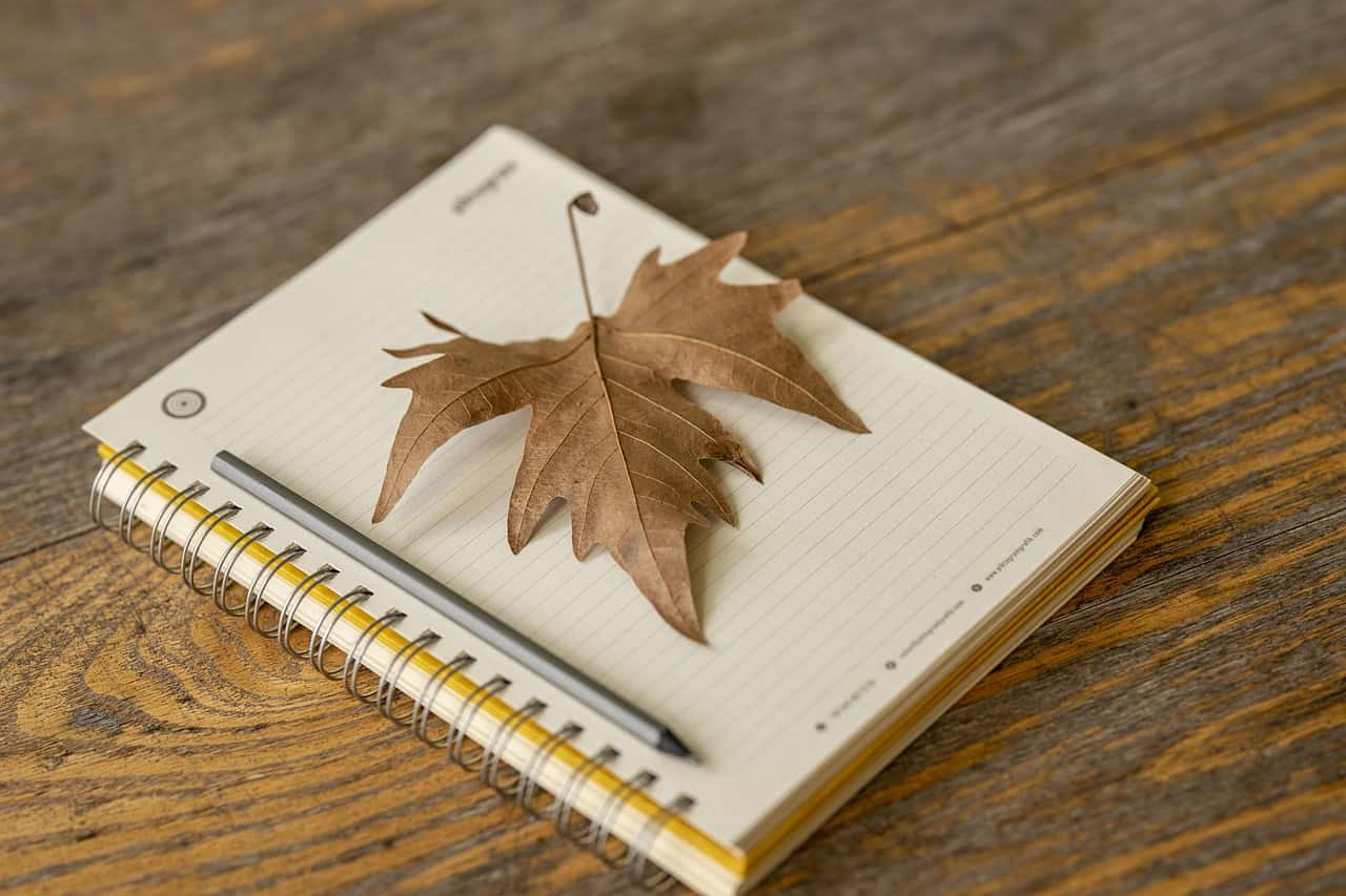 镇江一中2022-2023高三语文月考：审悲快感与艺术创作的深度剖析