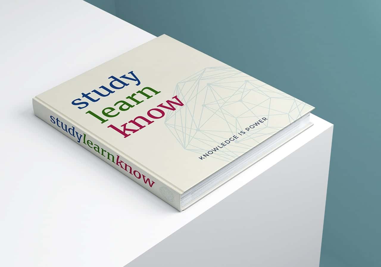 家庭趣事大揭秘：歌迷爸爸、球迷妈妈与美食